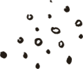 https://www.siptiger.com/wp-content/uploads/2020/08/floating_image_02.png