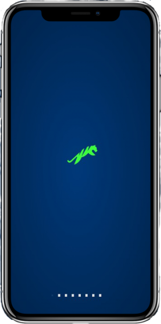 https://www.siptiger.com/wp-content/uploads/2024/12/IPhone_X-320x642-1.png